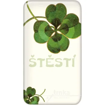 Dekorativní magnet Magnet Čtyřlístek pro štěstí 50 x 90 mm/KT