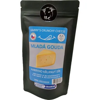 Křupavý sýr Mladá Gouda 100g (Sušený křupavý sýr Mladá gouda 100g lyofilizovaný)