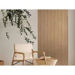 In-Design Dekorativní obkladový panel OLMO 04 Dub Zlatý