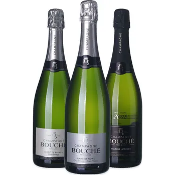 Víno Champagne Bouché Sada vín pro milovníky Champagne: 3× archivní šampaňské 0.75 l