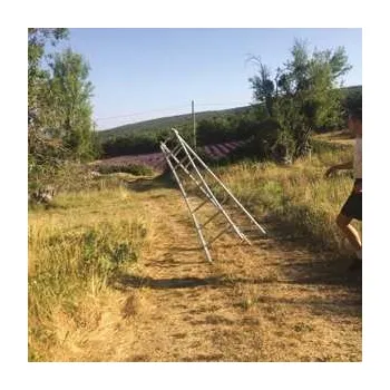 Zahraniční hudba LP caroline: Dark Blue 2020