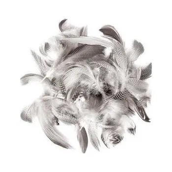 Set školních potřeb Pióra Kacze 5-12cm 5g