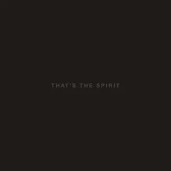 Zahraniční hudba CD Bring Me the Horizon: That's The Spirit 2015 Cardboard Gatefold Sleeve