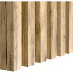 Lameo Dekorativní stěnová lamela dub…