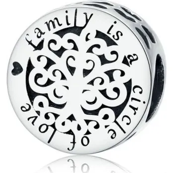 Přívěsek Přívěskynakrk.cz Stříbrný korálek FAMILY