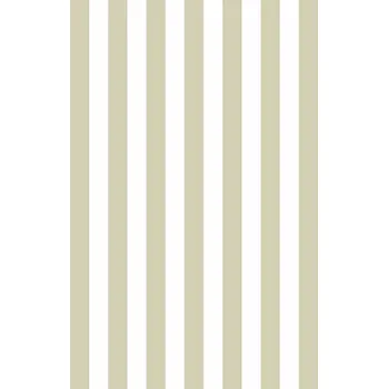 Tapeta Parato by Cristiana Masi Vliesová tapeta na zeď, zelená, pruhy, 38453, Top Stripes, Parato by Cristiana Masi, velikost 10,05 x 0,53 m