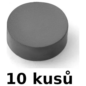 Dekorativní magnet Magnet D90, prům. 15 mm/ v.5 mm, sada 10 ks