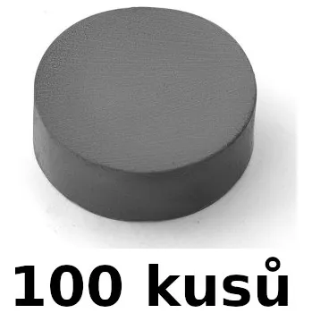 Dekorativní magnet Magnet D90, prům. 15 mm/ v.5 mm, sada 100 ks