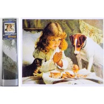 Diamantové malování NORIMPEX Očekávání 30 × 40 cm