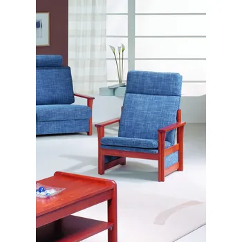 Křeslo FAGUS Křeslo EVA - AKČNÍ