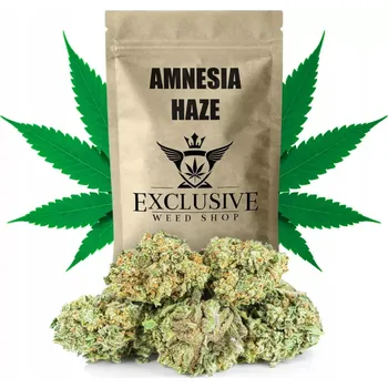 CBD Sušené konopí Amnesia Haze CBD 51,83% 10g