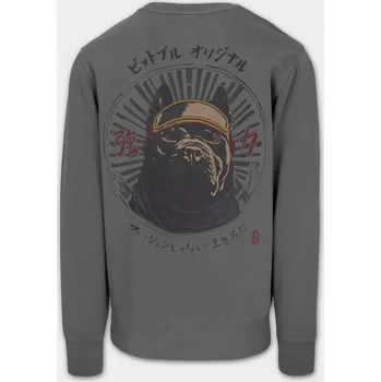 Pánská mikina PitBull West Coast Pánská mikina MT FUJI crewneck - zeleno/šedá - PWC_CREWMTFUJI_GREY Velikosti: L