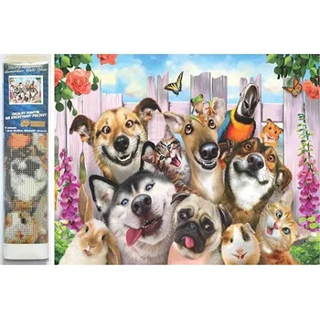 Diamantové malování NORIMPEX Bláznivá selfie 30 × 40 cm