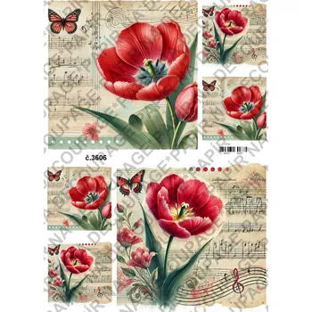 Výtvarný papír Rýžový a soft papír na decoupage - Tulipán s motýlem - KB03606 Materiál: Rýžový papír, Rozměr: A4