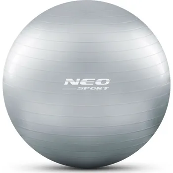 Gymnastický míč JAKS Fit míč štříbrný 65 cm + pumpa