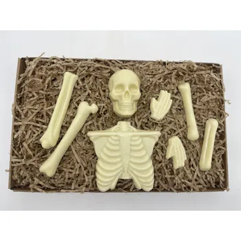 Čokoláda Chocolenka Čokoládová sada - Anatomie k zakousnutí