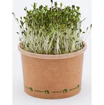 Tiny Greens Vojtěška Alfalfa Bio semínka na klíčení a microgreens 100 g