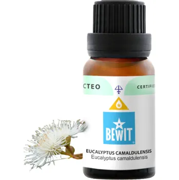 Zahradní osvětlení Bewit Eukalyptus Camaldulensis 5 ml (Očista, Vytrvalost, Síla )