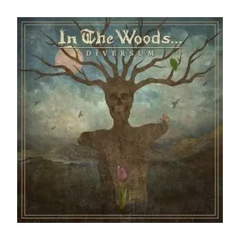 Zahraniční hudba LP In the Woods...: Dīversum CLR | LTD 2022 Coloured Limited Sea Blue White & Brown Vinyl Edition