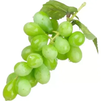 umělá květina Dekorace - Víno hrozen 1,5cm