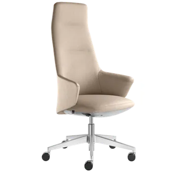 Jídelní židle Designové křeslo MELODY DESIGN 796-FR,F40-N6 (hliníkový leštěný kříž)