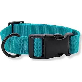 Obojek pro psa PafDog Obojek pro psy tyrkysový, XS