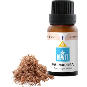 Zahradní osvětlení Bewit Palmarosa (Pocit jistoty)