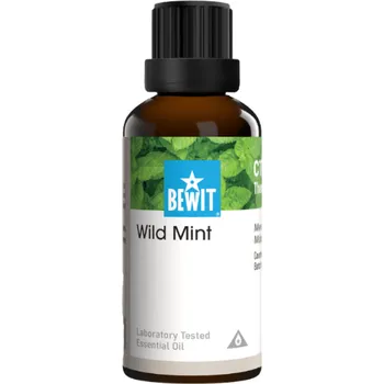 Zahradní osvětlení Bewit Máta rolní 5 ml (Svěžest, Očista)