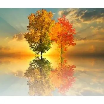 Zahradní osvětlení Bewit Miracle therapy 5 ml (Základní sada)