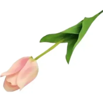 umělá květina Dekorace - Tulipán 63cm