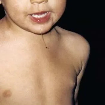 Zahraniční hudba LP La Paloma: Todavía no 2023