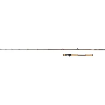Rybářský prut Prut Abu Garcia Beast Pro2 Live Casting 2,24m 40-100gr