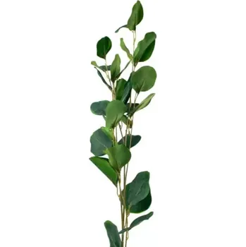 umělá květina Dekorace - Eukalyptus 75cm 24/240