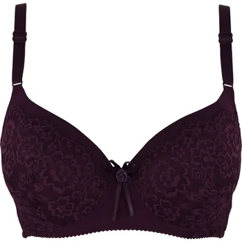 Podprsenka Vyztužená podprsenka Rozita 9301 95D fialová