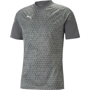 Pánský dres Puma TEAMCUP TRAINING JERSEY TEE XXXL Šedá, Bílá