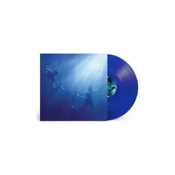 Zahraniční hudba Total Life Forever / Blue / Vinyl - Foals [LP]