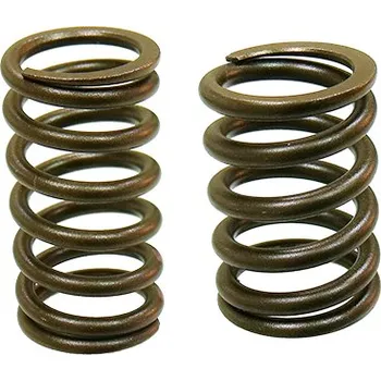 Rozvod motoru PSYCHIC pružina sacího/výfukového ventilu KTM 450/520/525, BETA RR 400/450/525 ENDURO (PSYCHIC pružina sacího/výfukového ventilu KTM 450/520/525, BETA RR 400/450/525 ENDURO)