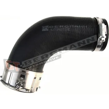 Turbodmychadlo Hadice plnícího vzduchu GT BERGMANN GT52-180