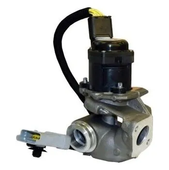 Ventil palivového systému AGR-Ventil MAGNETI MARELLI EV031