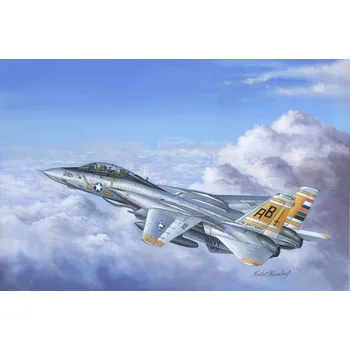 Plastikový model Grumman F-14A Tomcat - Hobby Boss 80366
