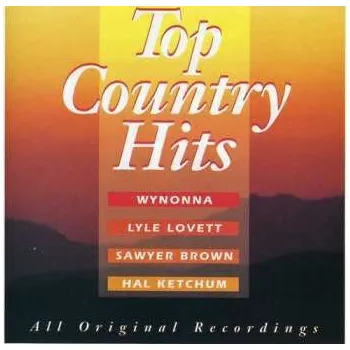 Zahraniční hudba CD Various: Top Country Hits / Various 1993