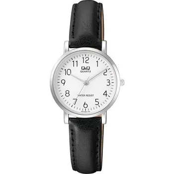 Hodinky Hodinky Q&Q Q979J304Y