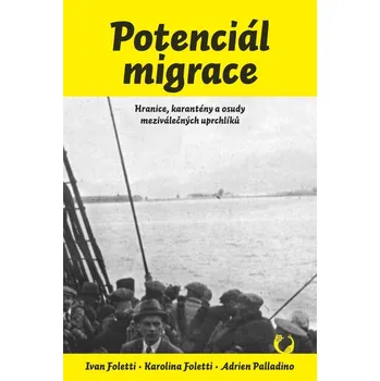 Kniha Potenciál migrace