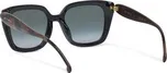 Sluneční brýle Etro 0085/F/S 207827 Černá 54