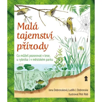 Malá tajemství přírody: Co můžeš pozorovat v lese, u rybníka i v městském parku - Luděk Jindřich Dobroruka
