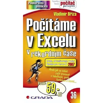 Kniha Počítáme v Excelu Ekniha