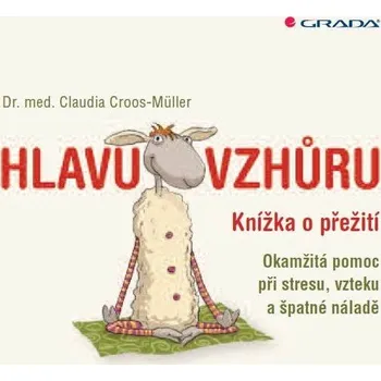 Hlavu vzhůru Ekniha