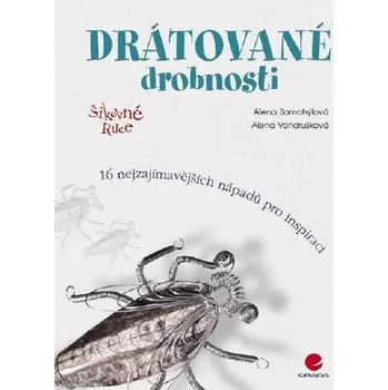 Kniha Drátované drobnosti Ekniha