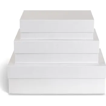 Úložný box Bílé kartonové úložné boxy v sadě 3 ks s víkem/dekorativní 42,5x29,5x13 cm Kian Paper Laminate – Bigso ID_1755702