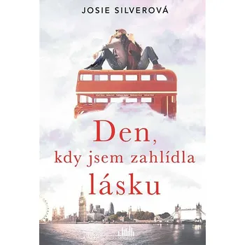 Kniha Den, kdy jsem zahlídla lásku Ekniha